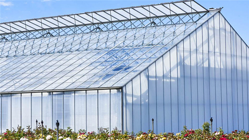 part-00338-3872 - 副本.jpg